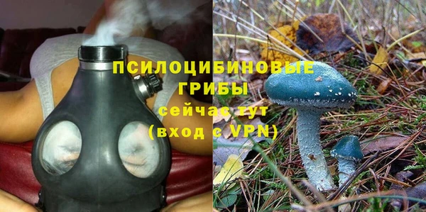 марки nbome Беломорск
