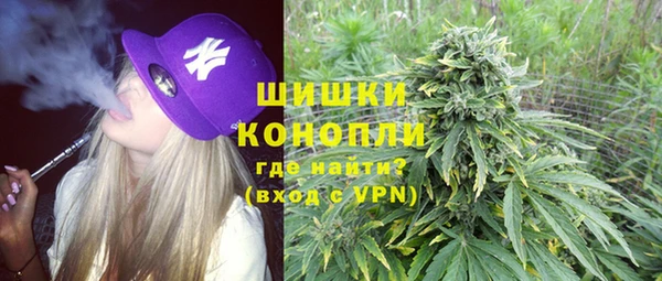 ГАЛЛЮЦИНОГЕННЫЕ ГРИБЫ Балабаново
