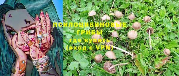 марки nbome Беломорск