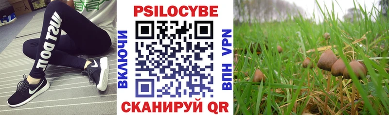 Галлюциногенные грибы мухоморы  Шагонар 